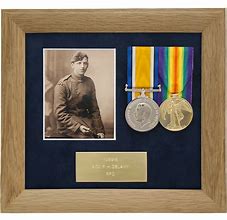 Image result for Military Medal Display