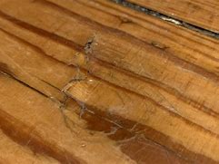 Image result for Wood Dents