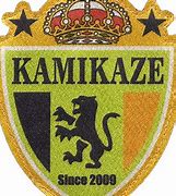 Image result for Kamikaze Logo