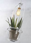 Image result for Hanging Plant Light