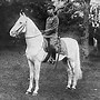 Image result for Hirohito Colored