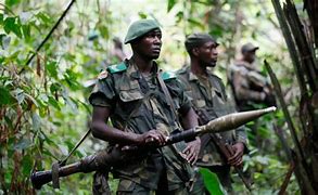 Image result for Dr Congo War