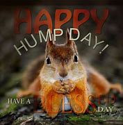 Image result for Happy Hump Day Smiley
