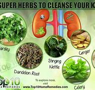 Image result for Natural Herbs Detox and Flush