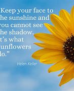Image result for Flowers to Brighten Your Day Quotes