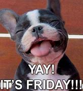 Image result for Yay Friday