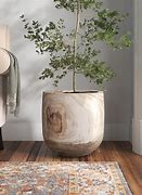 Image result for Modern Indoor Plant Pots