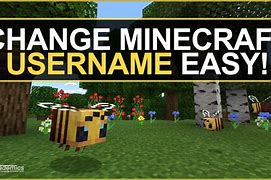 Image result for Minecraft PC Username