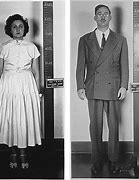 Image result for Alfred Rosenberg Execution