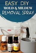 Image result for Mildew Removal