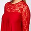 Image result for Red Tunic Blouse