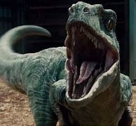 Image result for Jurassic Park Velociraptor Raptor
