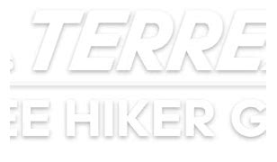 Image result for Adidas Terrex Free Hiker GTX Damen