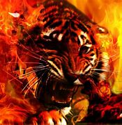 Image result for Cool Wallpaper for Boys Tablet Fire