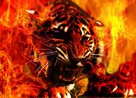 Image result for For Boys Cool Wallpapers for Kindle Fire
