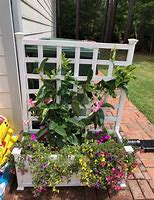 Image result for Trellis Planter Box with Vinyl