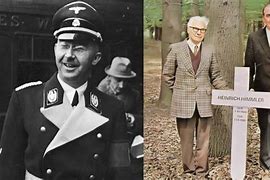 Image result for Heinrich Himmler WW2