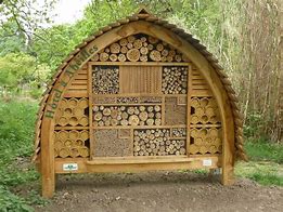 Image result for Bee Hotel