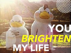 Image result for You Brighten My Life