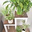 Image result for DIY Tiered Planter Stand