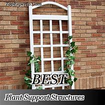 Image result for Plant Support Structures