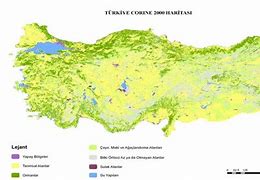 Image result for Turkiye Haritasi Illustrasyon
