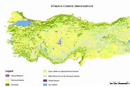 Image result for Turkiye Haritasi Biyama SAYFASI