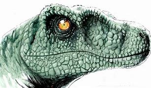 Image result for Jurassic World Velociraptor Drawings
