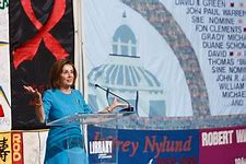 Image result for Nancy Pelosi Portrait Painting