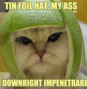 Image result for Tin Foil Hat Eu Meme
