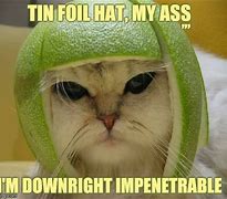 Image result for Tin Foil Cat Meme