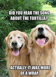 Image result for Silly Animal Jokes