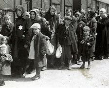 Image result for The Final Solution WW2