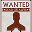 Image result for Wanted by Police Design