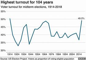 Image result for Election Turnout