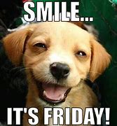 Image result for Cute Friday Dog