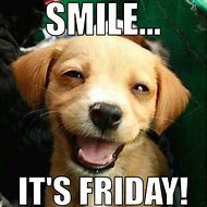 Image result for Friday Puppy Love