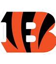 Image result for Bengals Color Rush