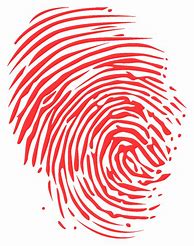 Image result for Fingerprint Transparent Background