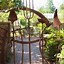 Image result for Amazing Garden Gate