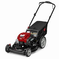 Image result for Side Discharge Push Lawn Mower