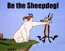 Image result for Sam Sheepdog and Ralph Wolf Cartoon