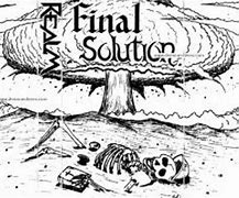 Image result for Final Solution WWII