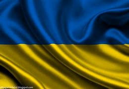 Image result for Eastern Ukraine Flag