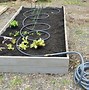 Image result for DIY Raised Garden Bed Planter