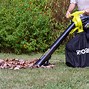 Image result for Leaf Vacuum Shredder