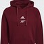 Image result for Naavy Arsenal Hoodie