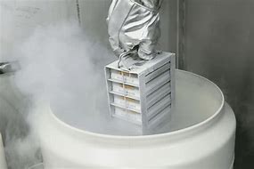 Image result for Scientist with Freezer Rack