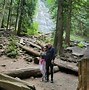 Image result for Bridal Veil Falls Co Trail Map