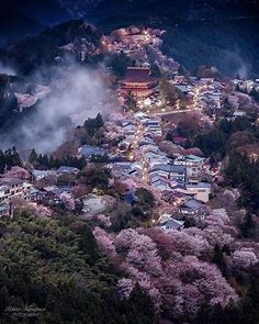 Stunning view of Japan : Damnthatsinteresting